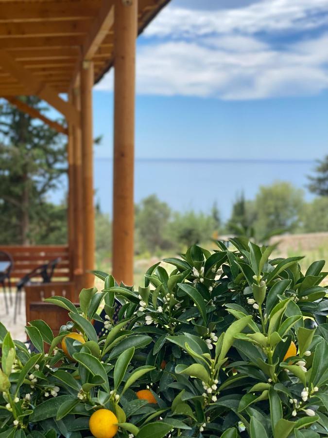 Summer Wine Boutique Hotel Dhërmi Exteriör bild